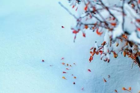 七绝大雪祝福