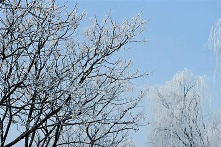 春雪初霁意思