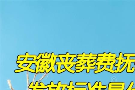 盐城丧葬费抚恤金最新规定2022年