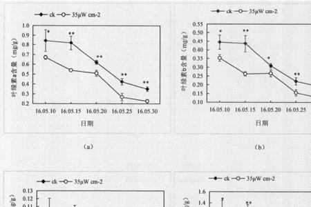 叶生物量是什么