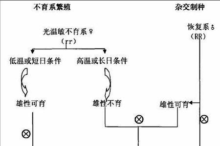 培育雄性不育系的意义