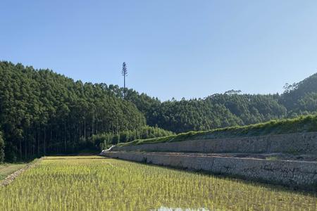 国家农村水田小块地收费合理吗