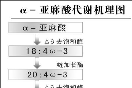 r亚麻酸与a亚麻酸有何区别