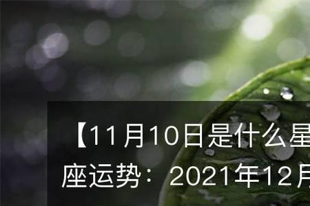 阳历11月是什么季节