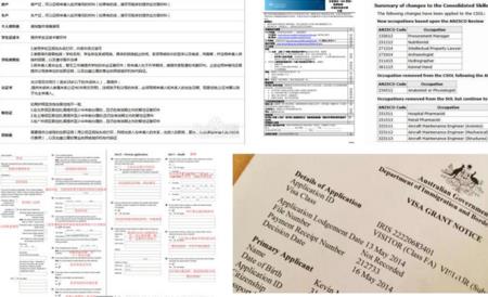 新西兰工签怎么查询进度