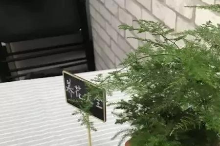 给花浇水渗出太多怎么控制