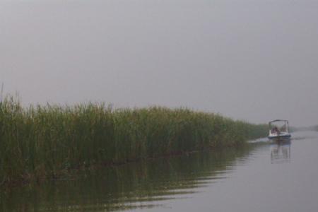 衡水湖和岗南水库哪个大