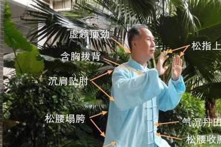 马步桩与三体式桩哪个聚内气快