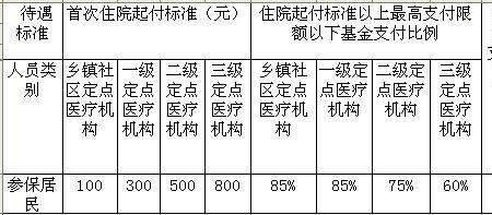 湖南衡阳医保报销比例多少