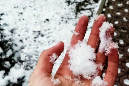 风吹雪压是什么意思