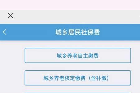 怎么在手机上交城镇医保