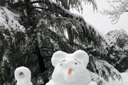 什么雪地上什么雪人