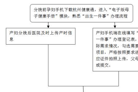 集体户口办理出生证明流程