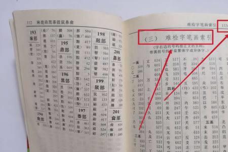 峻查字典怎么查