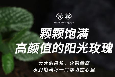 香印青提种植方法