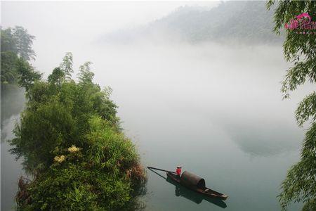 雾锁千树茶这句诗是谁写的