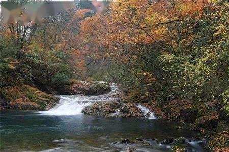 飞度峡海拔多少米