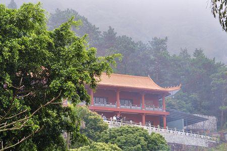 三宝寺几点开门