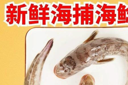 海鲶鱼能冷冻保存吗