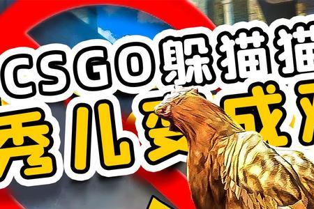 csgo猫是谁