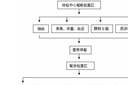 餐饮体检流程