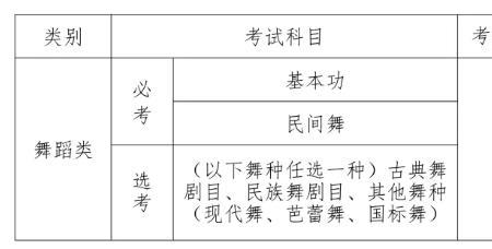 艺术类舞蹈省统考有理论吗