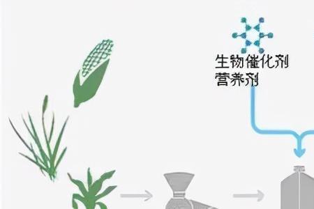 人类如何使用生物能源