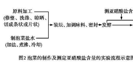 亚硝酸得电子生成什么