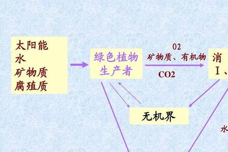 化石燃料和分解者关系