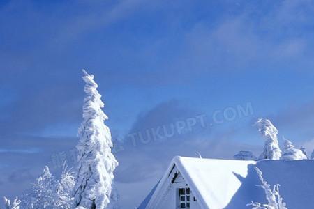 冬天雪景是什么样