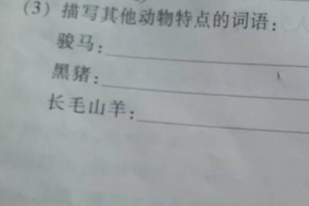 用动物代替人的特征的词语