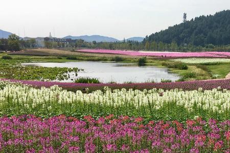 径山花海几点关门