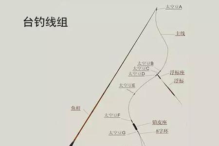 4.8的鱼竿选多大线多大鱼漂合适