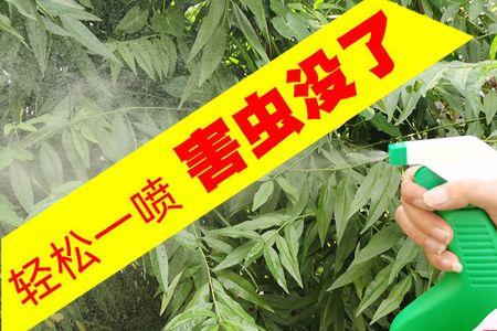 杀虫剂可以喷植物么