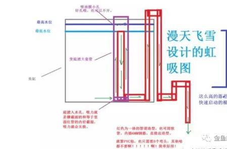 鱼缸蓝红黄接哪两根