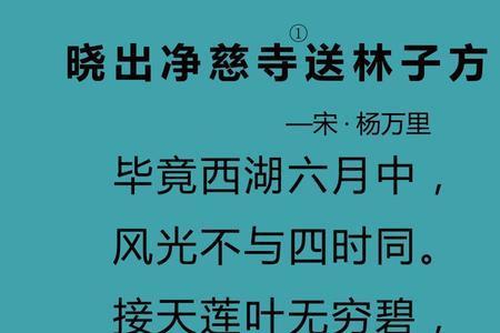 晓出净慈寺送林子方二首