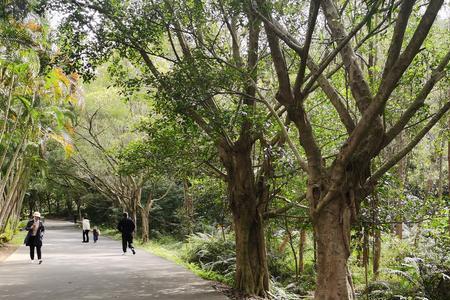 中山田心公园走一圈多少公里