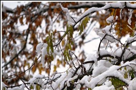 十月飘雪的意思是什么