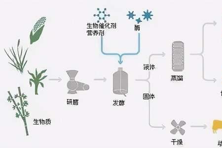 生物的提呈是什么