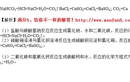 碳酸氢钠化学式写法