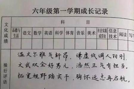 特殊学生在校表现评语