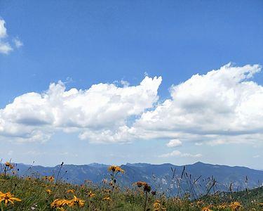 翼城历山几月开花