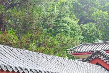 深圳妙觉寺为何不对外