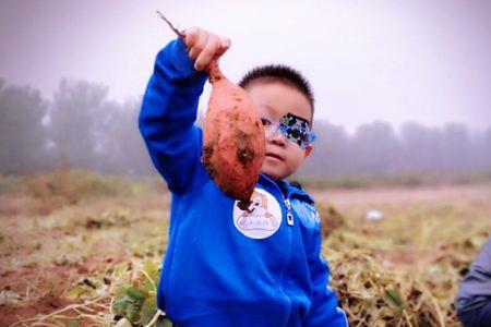 适合幼儿园小班秋游自带的食物