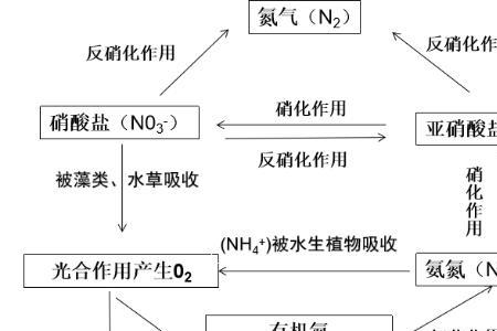 亚硝酸与氧气反应