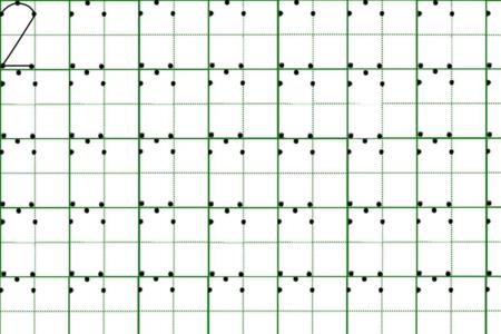 羊的田字格写法幼儿园