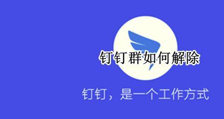 为什么钉钉打开表格是空白的