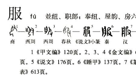 于是皆服其妙的服什么意思