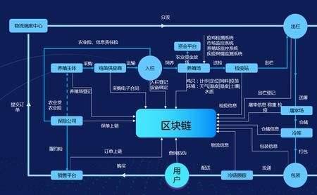 奥比岛溯源实验怎么玩