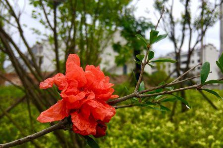 雨中惬意的心情